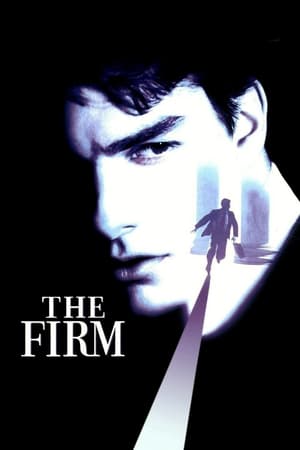 The Firm (1993) Hindi Dual Audio BluRay [980MB]