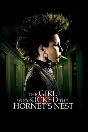 The Girl Who Kicked the Hornet's Nest (2009) Hindi Dual Audio BluRay [1.2GB]
