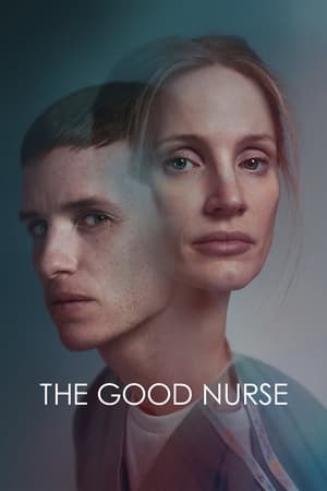 The Good Nurse (2022) Hindi Dual Audio HDRip – 480p