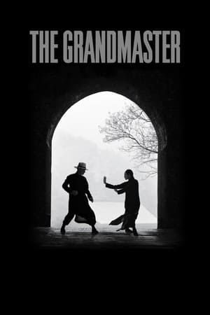 The Grandmaster (2013) Hindi Dual Audio BluRay 350MB ESubs