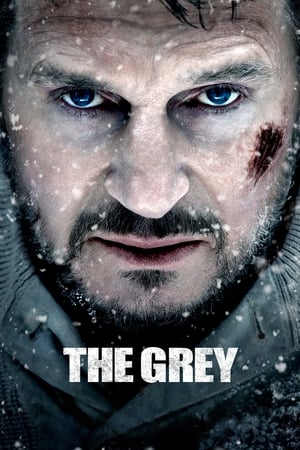 The Grey 2011 Hindi Dual Audio BluRay [830MB]