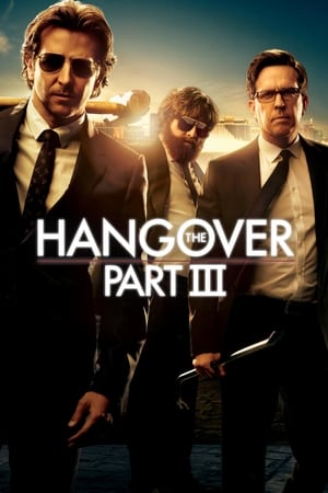 The Hangover Part III (2013) Hindi Dual Audio BluRay 300MB