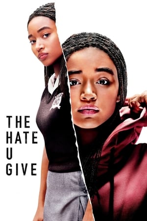 The Hate U Give (2018) Hindi Dual Audio BluRay [1.2GB]
