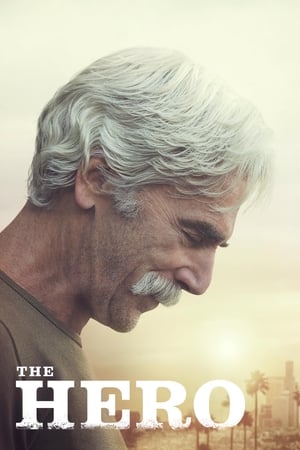 The Hero (2017) Hindi Movie HDRip - [300MB]