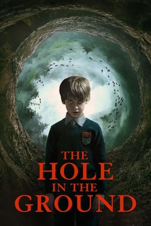The Hole in the Ground 2019 Hindi Dual Audio BluRay 300MB