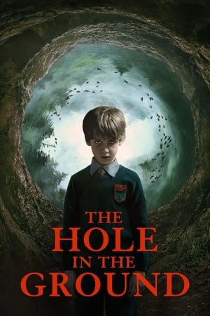 The Hole in the Ground 2019 Hindi Dual Audio BluRay [830MB]