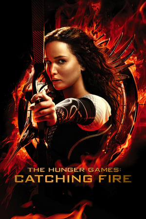 The Hunger Games Catching Fire 2013 Hindi Dual Audio BluRay 480MB