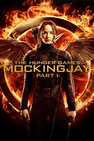 The Hunger Games: Mockingjay - Part 1 (2014) Hindi Dual Audio BluRay 350MB