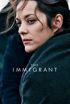 The Immigrant (2013) Hindi Dual Audio BluRay [880MB]