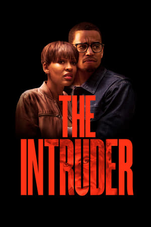 The Intruder (2019) Hindi Dual Audio Web-DL [960MB]