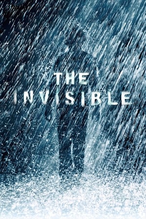 The Invisible 2007 Hindi Dual Audio Movie BRRip - 850MB