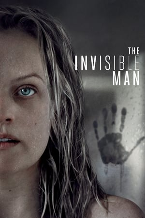 The Invisible Man (2020) Hindi (ORG) Dual Audio BluRay 400MB