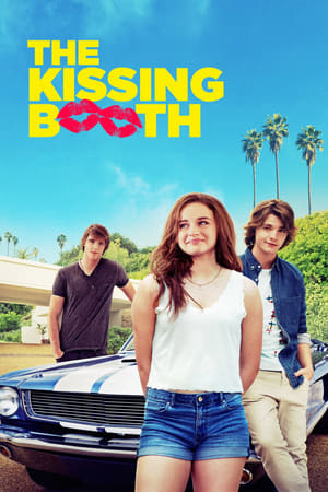 The Kissing Booth 2018 Hindi Dual Audio Web-DL [1.1GB]