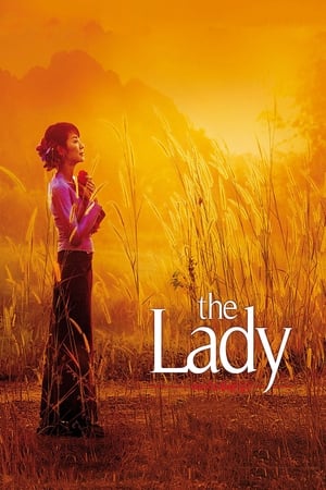 The Lady 2011 Dual Audio Hindi Movie Bluray - 920MB