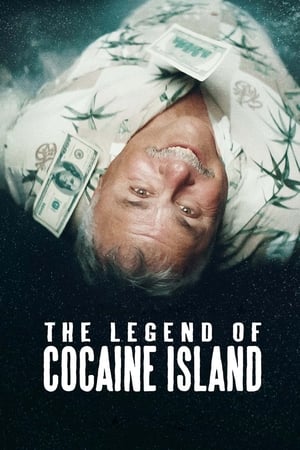 The Legend of Cocaine Island (2019) Hindi Dubbed Web-DL [860MB]
