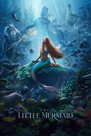 The Little Mermaid (2023) Hindi (ORG 5.1) HDRip | 480p