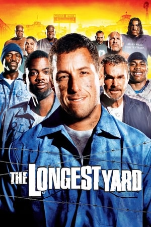 The Longest Yard (2005) Hindi Dual Audio Web-DL 350MB