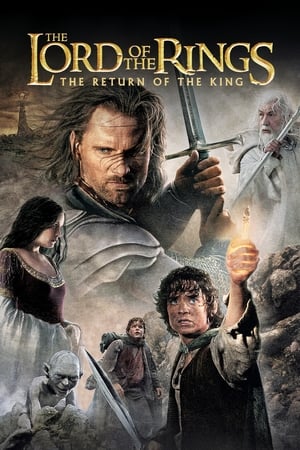 The Lord of the Rings: The Return of the King (2003) Hindi Dubbed BluRay [1.8GB] Download