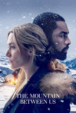 The Mountain Between Us 2017 Dual Audio Hindi Bluray 350MB