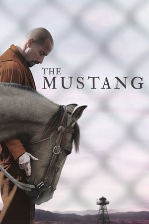 The Mustang (2019) Hindi Dual Audio BluRay 300MB
