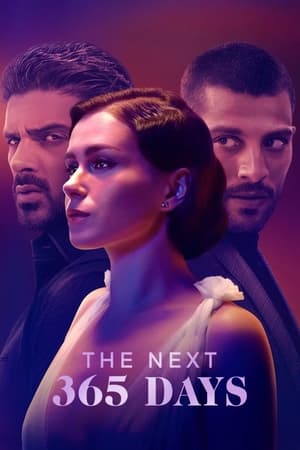 The Next 365 Days 2022 Hindi Dual Audio HDRip – 480p
