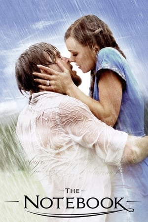 The Notebook 2004 Dual Audio Hindi BRRip 400MB
