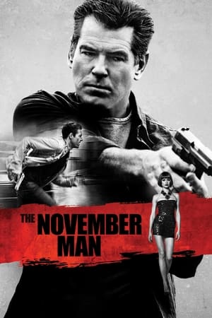 The November Man 2014 Dual Audio [Hindi - English] BluRay 350MB