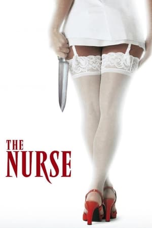 The Nurse (1997) Hindi Dual Audio Uncut DVDRip [1GB]
