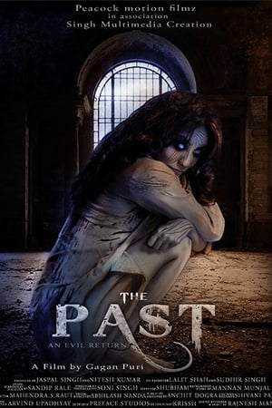 The Past 2018 Hindi Movie HDRip - [350MB]