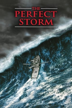 The Perfect Storm (2000) Hindi Dual Audio HDRip 450MB