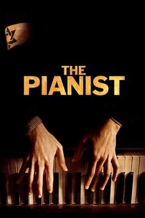 The Pianist (2002) Hindi Dual Audio BluRay 450MB