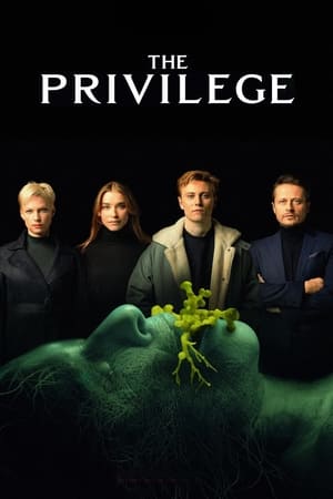 The Privilege (2022) Hindi Dual Audio HDRip – 480p