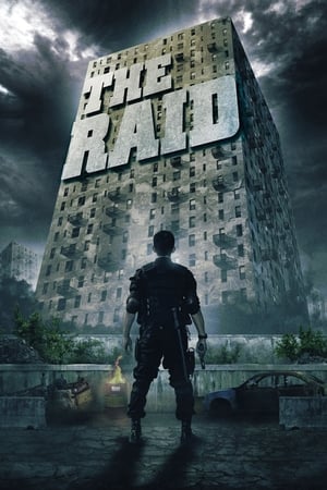 The Raid: Redemption (2011) Hindi Dual Audio BluRay [900MB] ESubs