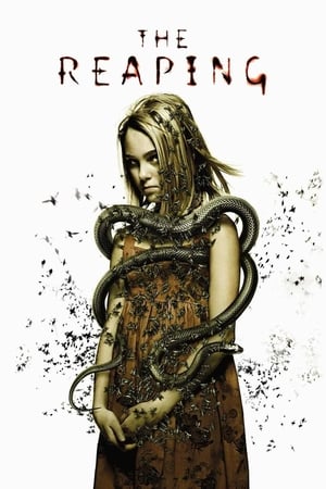 The Reaping (2007) Hindi Dual Audio BluRay 340MB