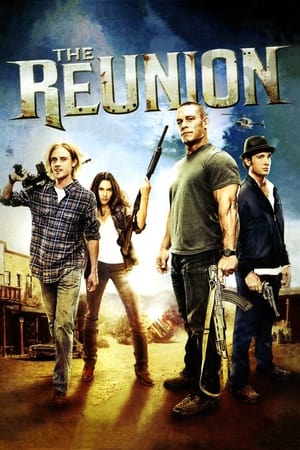 The Reunion (2011) Hindi Dual Audio HDRip – 480p