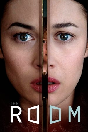 The Room 2019 Hindi Dual Audio BluRay [900MB]