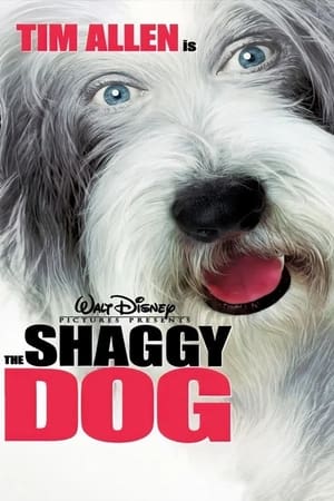 The Shaggy Dog (2006) Hindi Dual Audio BluRay [950MB]