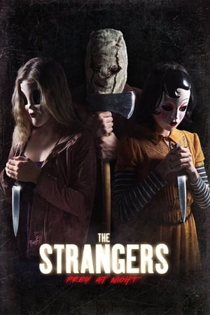 The Strangers: Prey at Night (2018) Hindi Dual Audio BluRay [770MB]
