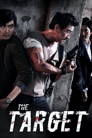 The Target (2014) Hindi Dual Audio Bluray 300MB