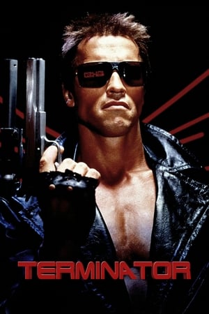 The Terminator (1984) Hindi Dual Audio BluRay [800MB]