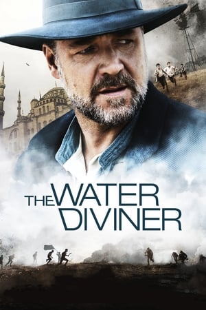 The Water Diviner (2014) Hindi Dual Audio BluRay 350MB