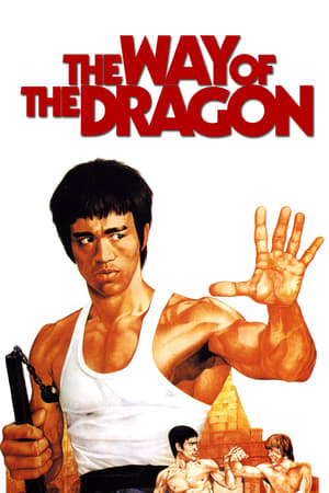 The Way of the Dragon (1972) Hindi Dual Audio BluRay [940MB]