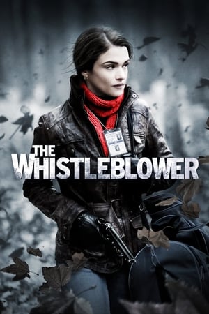 The Whistleblower 2010 Hindi Dual Audio bluRay 350MB