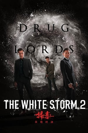 The White Storm 2: Drug Lords (2019) Hindi (Org) HDRip 300MB