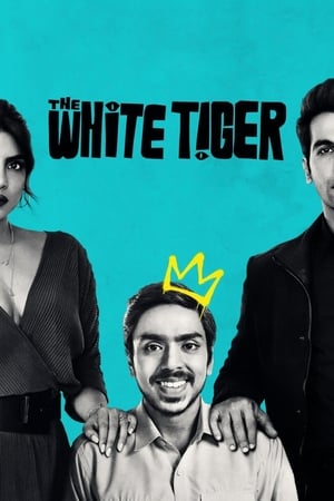 The White Tiger (2021) Hindi Movie HDRip x264 [990MB]