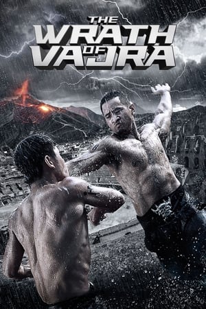 The Wrath of Vajra (2013) Hindi Dual Audio BluRay [900MB]