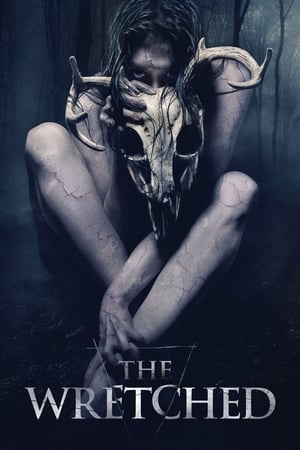 The Wretched (2019) Hindi Dual Audio BluRay 300MB