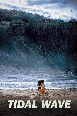 Tidal Wave (2009) Hindi Dual Audio BluRay [1GB] ESubs