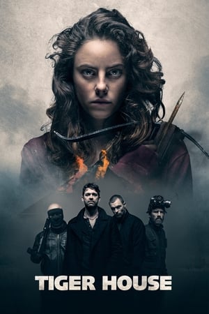 Tiger House (2015) Hindi Dual Audio BluRay [1.2GB]