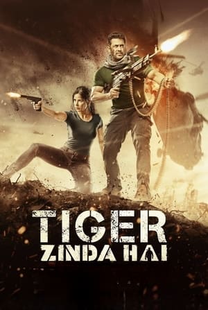 Tiger Zinda Hai 2017 Hindi Audio WEB-DL